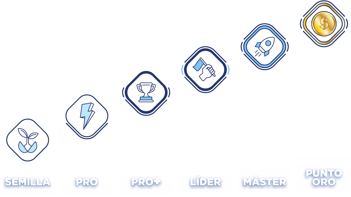 Niveles: Semilla, Pro, Pro+, Líder, Máster, Punto Oro